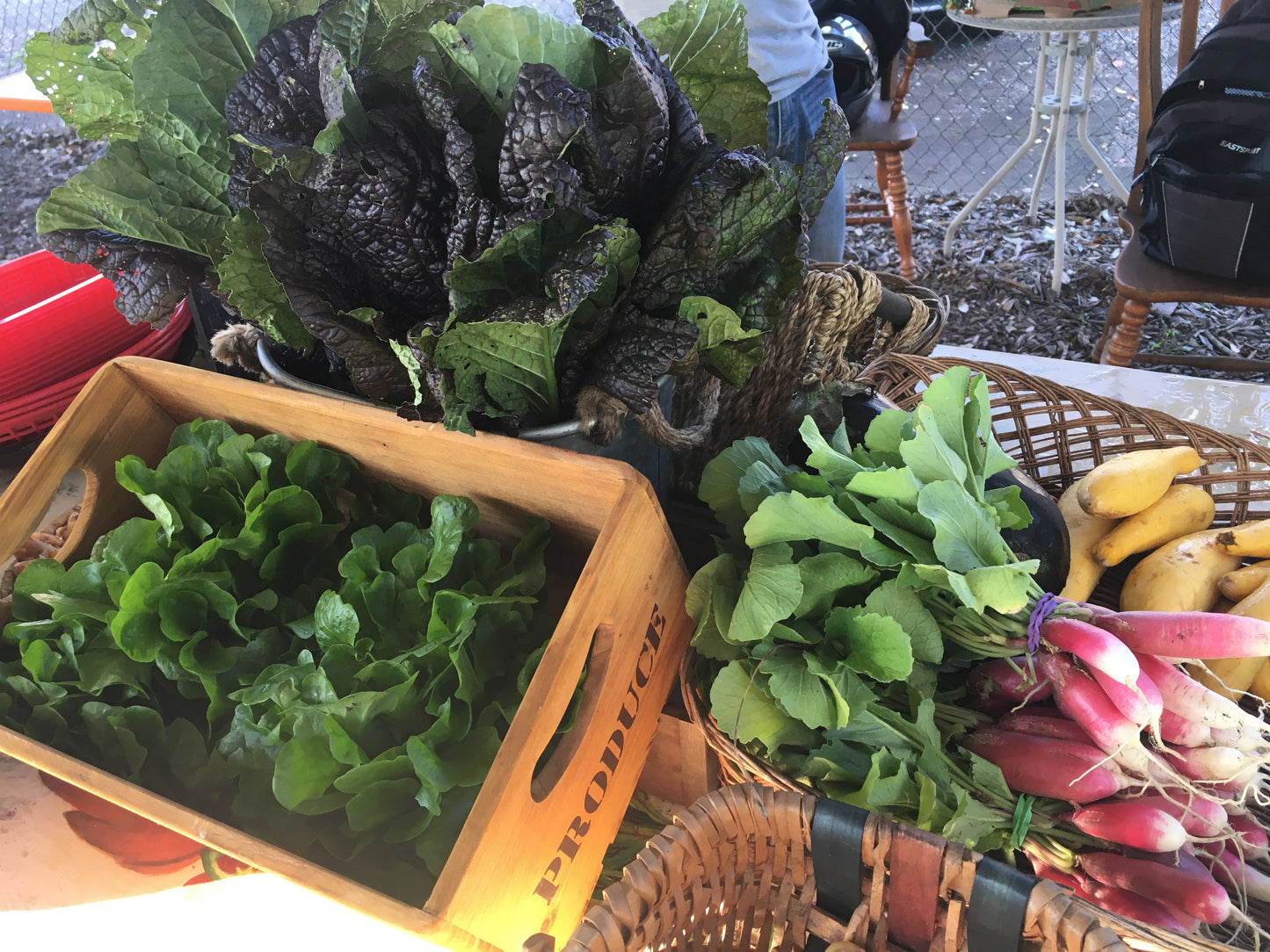 Seasonal Produce Box